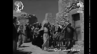 جوانب من حياة القرية والريف الفلسطيني قديما 1910 - 1950 م