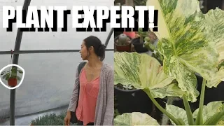 Best Plant Nursery in Southern California. Long Beach, CA VLOG