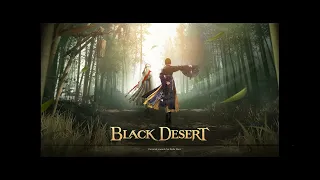 black desert 4090 i713700kf siege war ultra setting