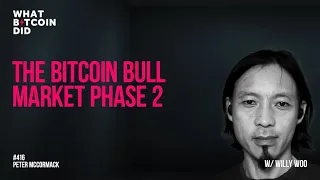 The Bitcoin Bull Market Phase 2 with Willy Woo