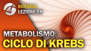 BIOLOGIA - Lezione 18 - Il Ciclo di Krebs | Metabolismo Cellulare