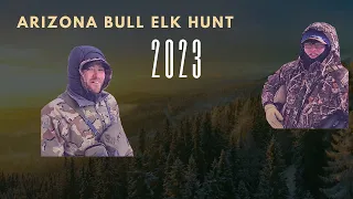 Arizona Bull Elk Hunt 2023