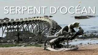 Serpent D’Océan Sculpture (4K)