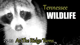 Narrated Wildlife Video 22-23 from Trail Cameras in the Tennessee Foothills of the Smoky Mountains