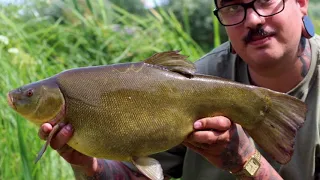 Late Season Tench Fishing With Matt Fernandez