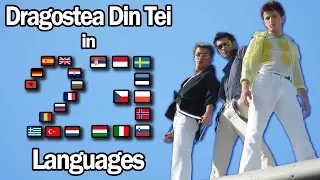 Singing Dragostea Din Tei In 23 Languages With Zero Singing Skills