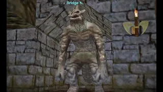 Druid Solos Bridge Keeper, Chardok, Project 1999 EverQuest