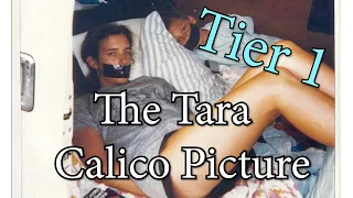 The Tara Calico Picture (2/651) - Conspiracy Theory Iceberg