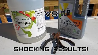 Rust Removal  Vinegar VS  CLR **SHOCKING RESULTS**