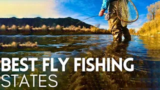 Best Fly Fishing in the United States in 2023