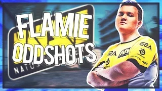 CSGO: BEST OF NAVI FLAMIE!! (ft. Auto Sniper Rampage, Clutch Wins, Ace Highlights etc!)