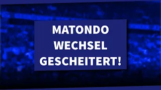 Matondo-Wechsel ist gescheitert: Flügelspieler will zu viel Gehalt! | S04 NEWS