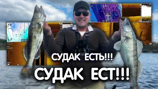 ИЩЕМ СУДАКА осенью!!! РАЗБОР скриншотов с ЭХОЛОТА LOWRANCE HDS LIVE. Рыбалка на джиг осенью.