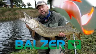 Matze Koch: Auf Hecht mit dem BALZER Reptile Shad! Livebiss!