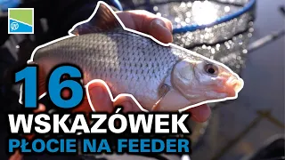 Jak łowić płocie w kanale na feeder | PRESTON INNOVATIONS