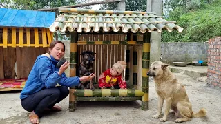 How to make a bamboo house to keep newborn puppies warm - harvest green onions to sell at the market