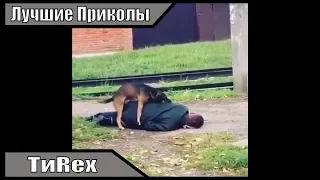 ЛУЧШИЕ ПРИКОЛЫ. НОЯБРЬ 2018.№1 10 МИНУТ СМЕХА УГАР БЕЗ ОСТАНОВКИ