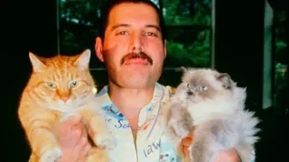 Filmato "Freddie Mercury - I suoi adorati Gatti" - video Italiano