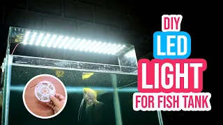 Light Up Your Fish Tank: DIY Aquarium Light Made Simple