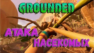 Выживание в Grounded hot and hazy. Насекомые атакуют! Изучаем обновление. Прохождение Grounded.