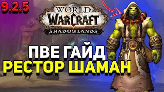 PvE гайд по Шаману «Исцеление» в WoW Shadowlands 9.2.5