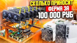 Сколько приносит моя майнинг ферма за 100 000 рублей? Доходность и окупаемость