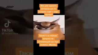 #Shorts №228 #Юмор #Мем #Мемы #tiktok #Смех #Приколы #Memes  #ТикТок