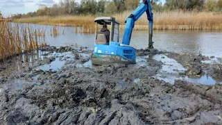 Оренда водойми. Чистимо берег від очерету. 1Частина.