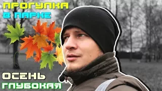 Осень глубокая или прогулка в парке | Мои мысли - Андрей Сергеевич