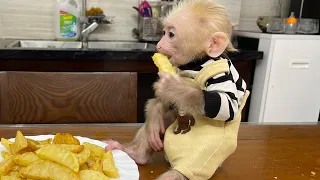 Momo helps Mom cook super delicious french fries