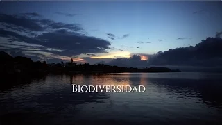 COP13 de Diversidad Biológica, México 2016