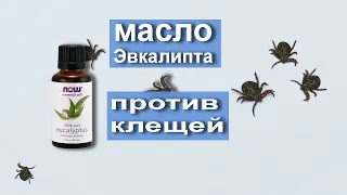 Масло эвкалипта от клещей помогает ли? Проверил в своем опыте