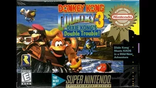 DONKEY KONG COUNTRY 3 [SNES] - PEGANDO 105% [3]