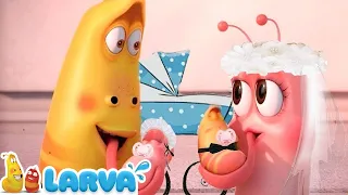 Larvas Animadas Nuevos Episodios 2022 🧡 Larva Episodio Completo 🧇 Larva Nuevos Capitulos 2022