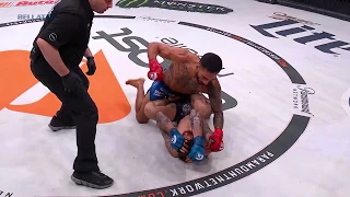 Bellator 208: Henry Corrales - TKO Finish