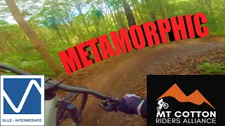 Metamorphic Is Mint Again! | Mount Cotton