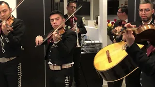 Vals Alejandra por el Mariachi Mexico