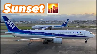 【福岡空港】暑さも和らいできて涼しくなった夕暮れ時の福岡空港