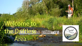 Driftless Area | Fly Fishing | Spring Creek Headwaters | Wild Trout | July 2022