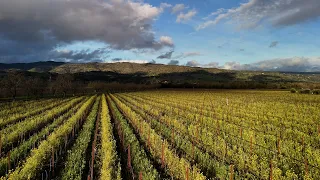 A beautiful sunset over Napa Valley vineyards!