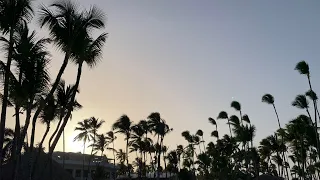 Доминикана (Пунта-Кана) Honey moon . (Dominicana, Punta-Cana) 2019