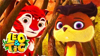 LEO and TIG 🦁 NEW 🐯 Episode 16 - Little Feat ❤️ Moolt Kids Toons Happy Bear
