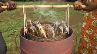 Preparing Banana and Plantain Suckers for Planting to Reduce Pests and Increase Yield