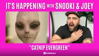 Catnip Evergreen | It's Happening