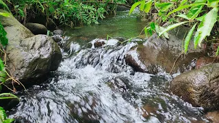 clear river flowing water relaksasi for sleping, pemandangan alam