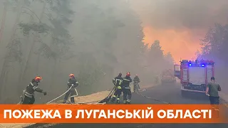 Горит прямо на фронте. Один военный погиб при пожаре в Луганской области, еще двое - с ожогами