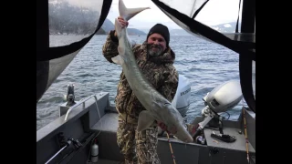 рыбалка на осётра/Columbia River Sturgeon Fishing 2017