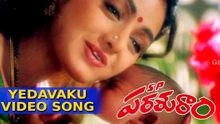 SP Parasuram Movie || Yedavaku amma Full Video Song || Chiranjeevi, Sridevi