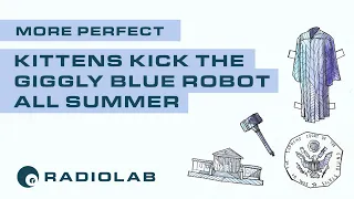 Kittens Kick The Giggly Blue Robot All Summer | Radiolab Presents: More Perfect Podcast | S1 Ep 5