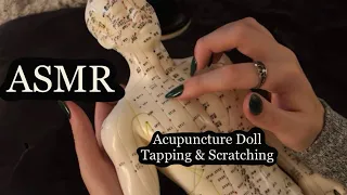 ASMR Gentle Tapping & Scratching On An Acupuncture Doll! No Talking